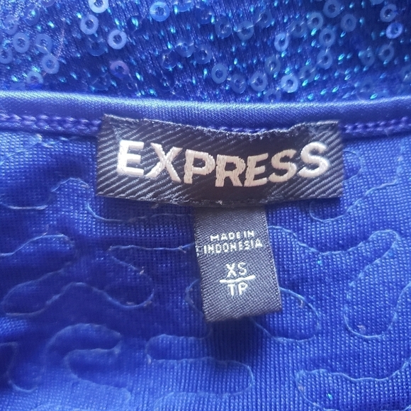 Express Sequin Camisole Blue Size XS - Picture 5 of 11